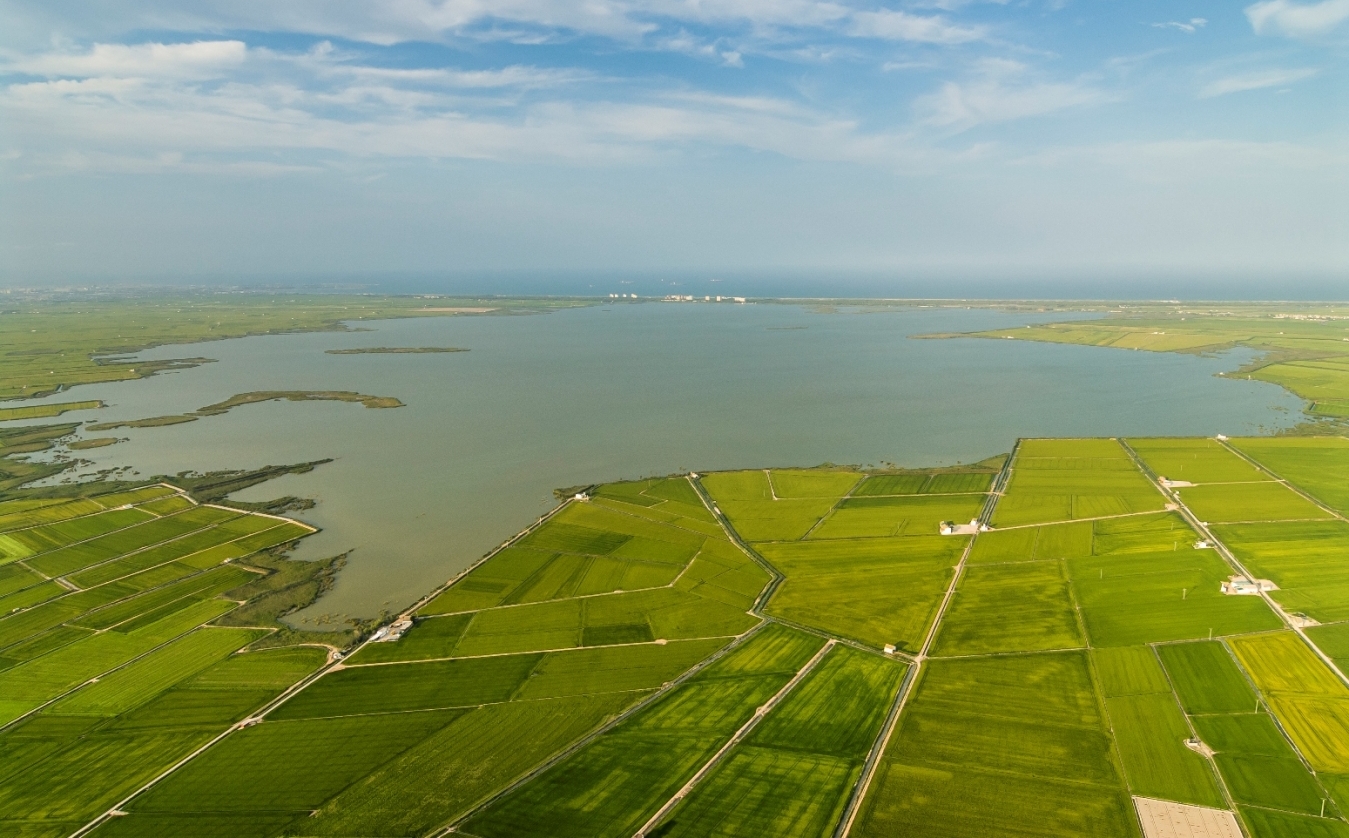 Albufera Valencia