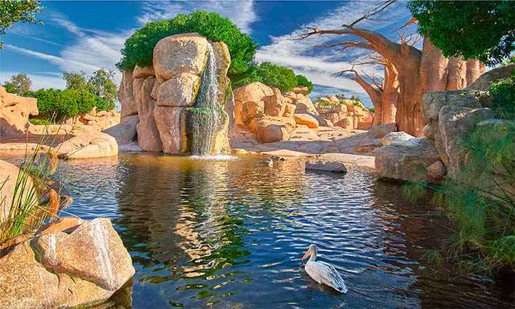 Bioparc Valencia